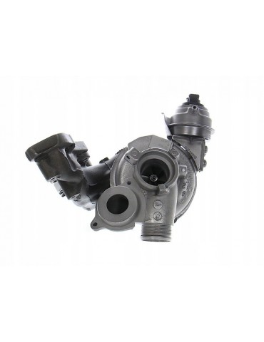 Turbo 2.0 TDI 184 CV (821866)